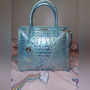Wonderland Brahmin